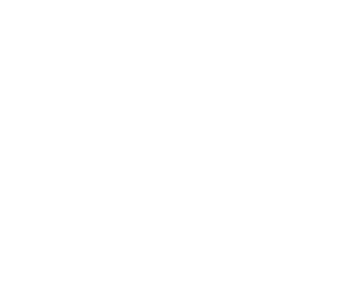 logo - Via Spluga