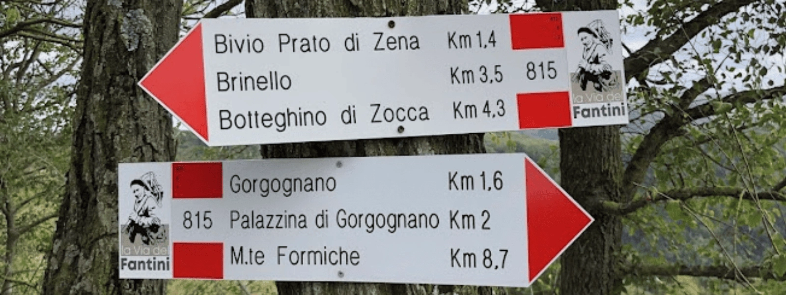 Logica Giochi – Set 8 Rompicapo In Metallo In Valigetta, Difficoltà Miste, Regalo Per Principianti Ed Esperti