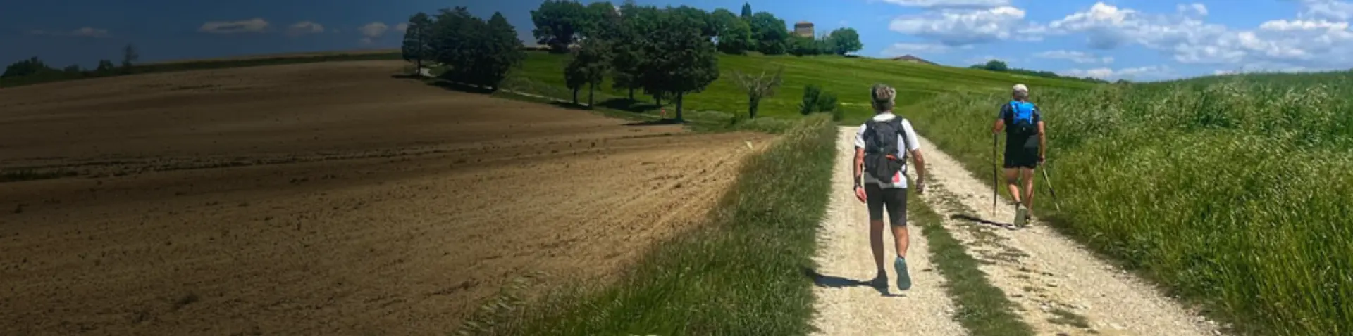 Cammino della pietra bianca