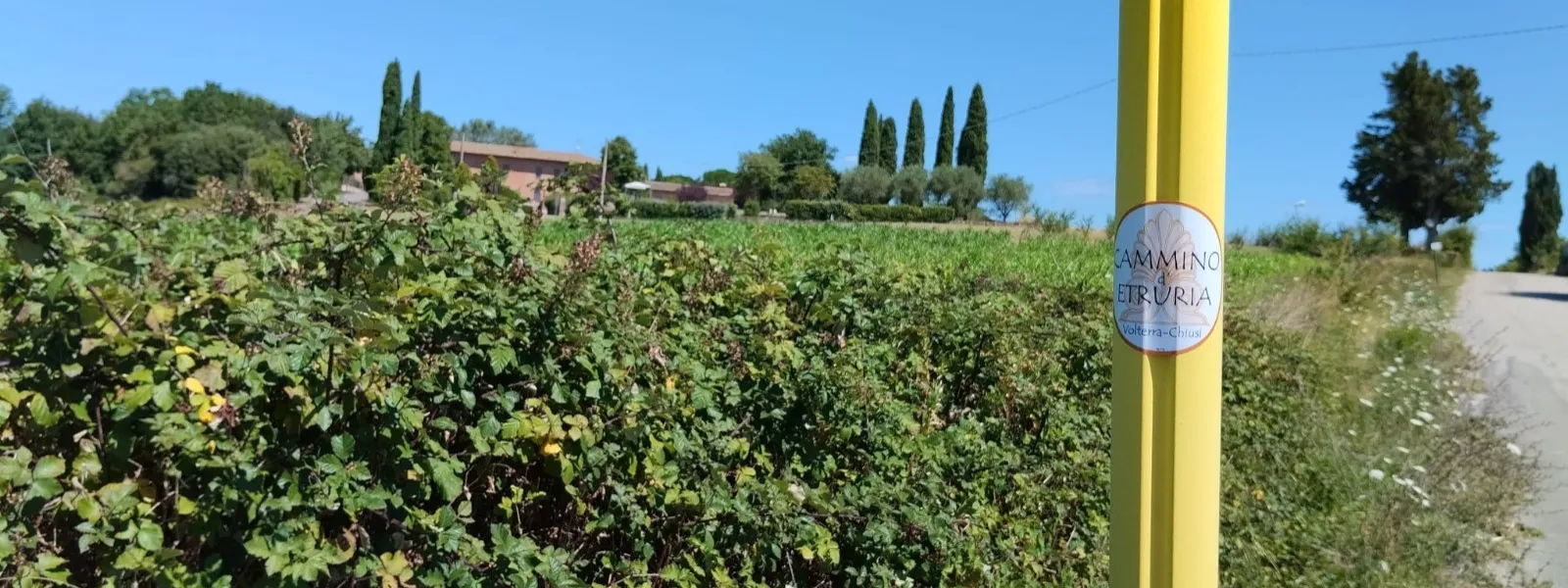 Cammino d’Etruria Centro