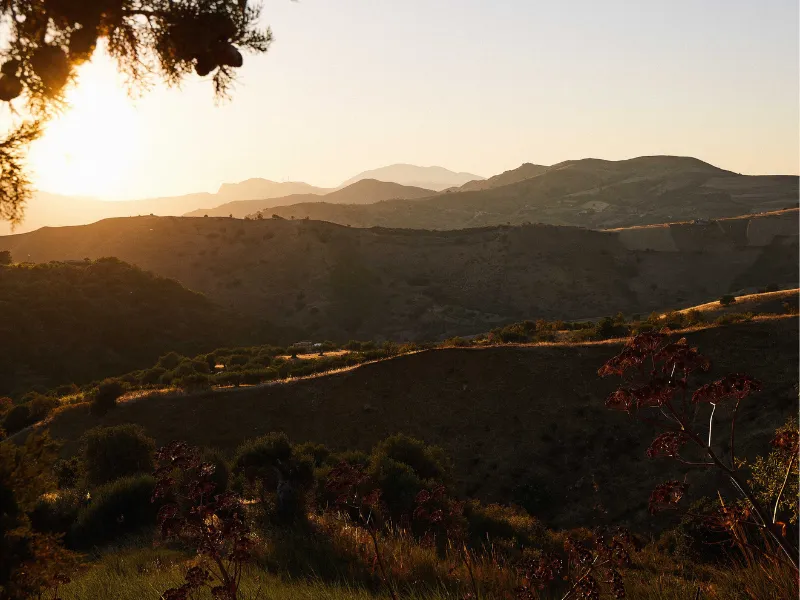 Vie Francigene di Sicilia