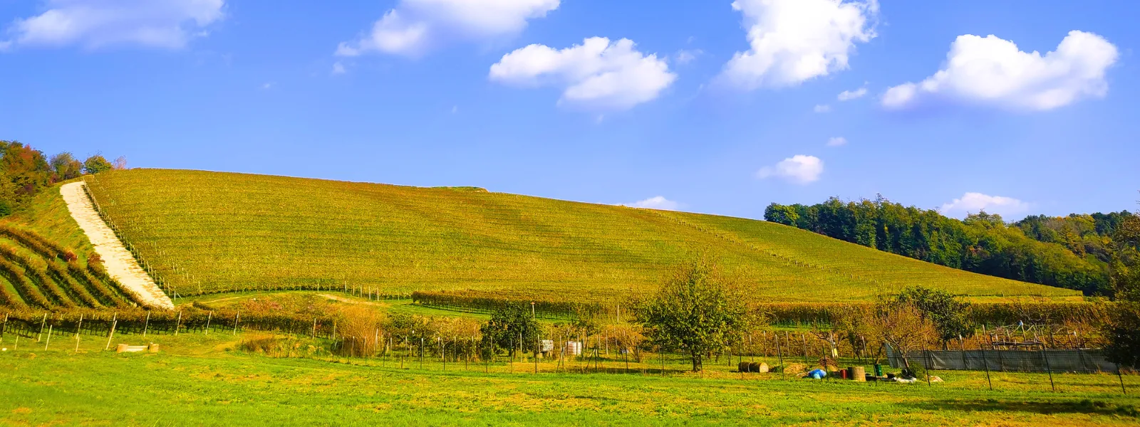 Cammino delle Colline Novaresi – Cammino Devozionale
