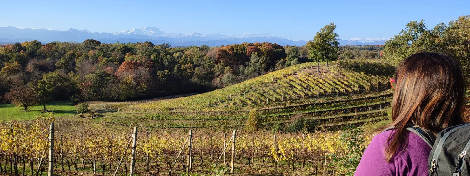 Cammino delle Colline Novaresi – la Via dell’Agogna