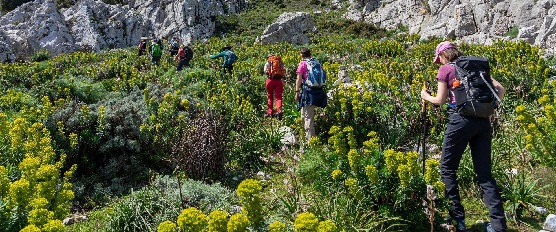 Un gruppo di camminatori sale lungo un prato fiorito di euforbie gialle, tra rocce calcaree