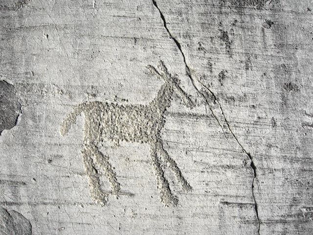 Il Cammino di Carlo Magno tra Flora e Fauna