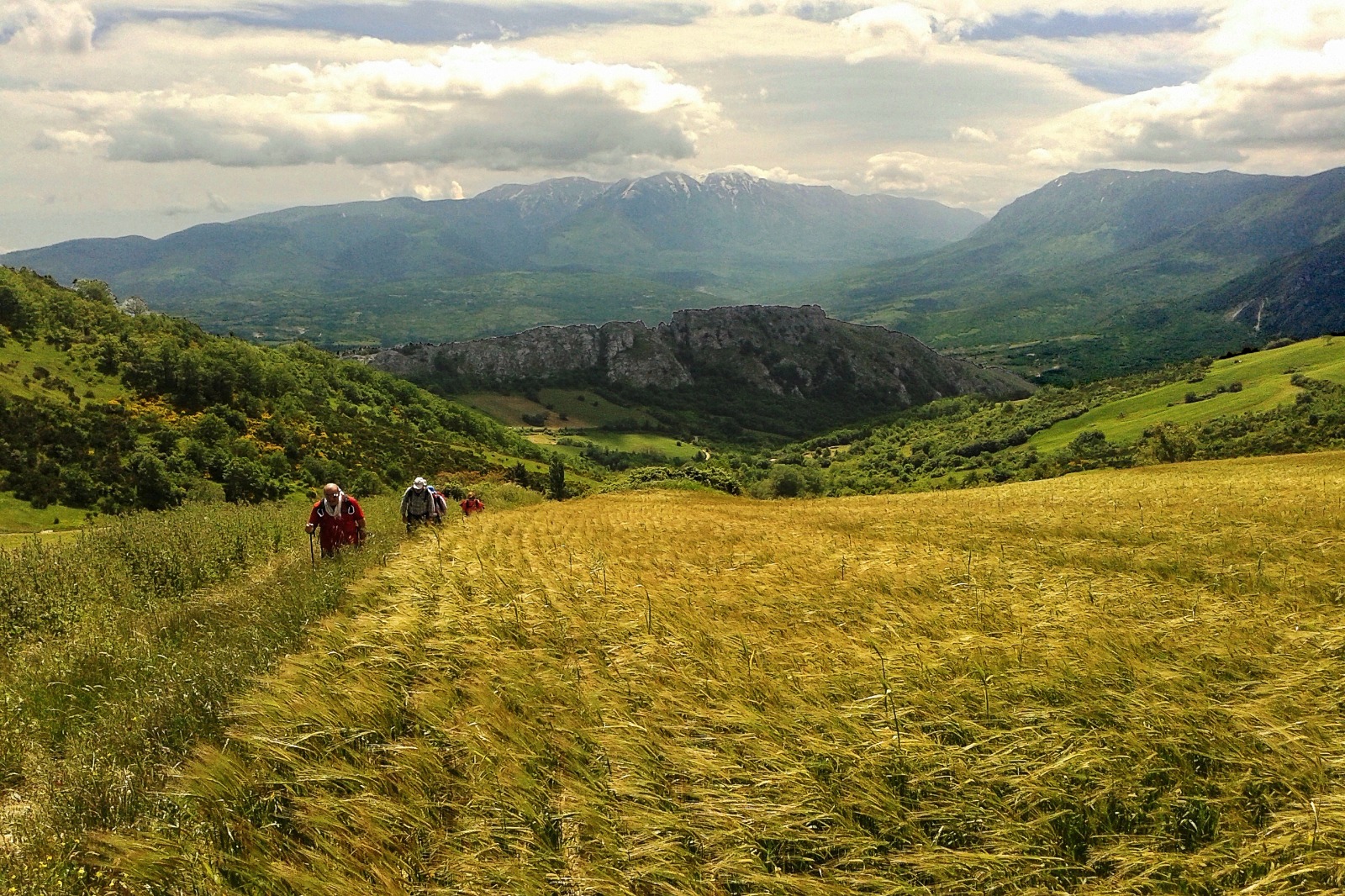 Il Cammino di San Tommaso: tra natura e spiritualità