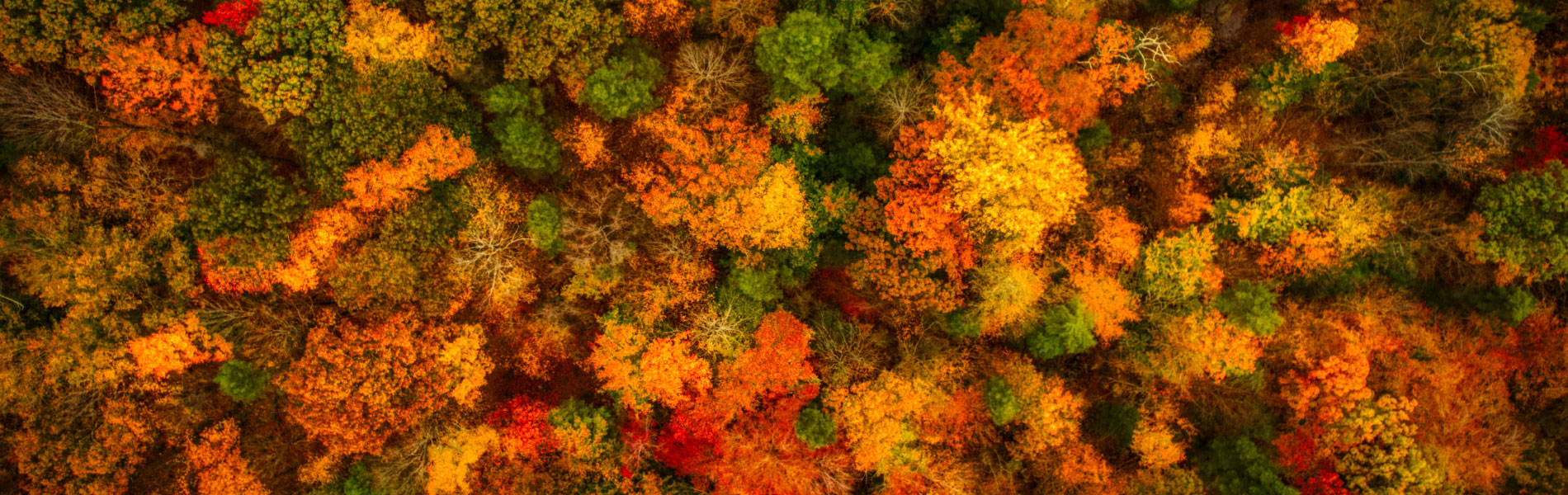 7 luoghi magici da visitare in autunno