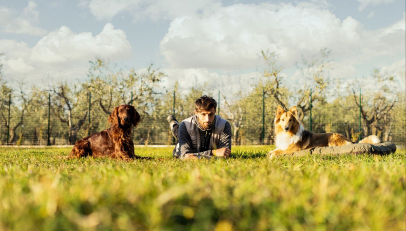 Come approcciarsi al dog trekking