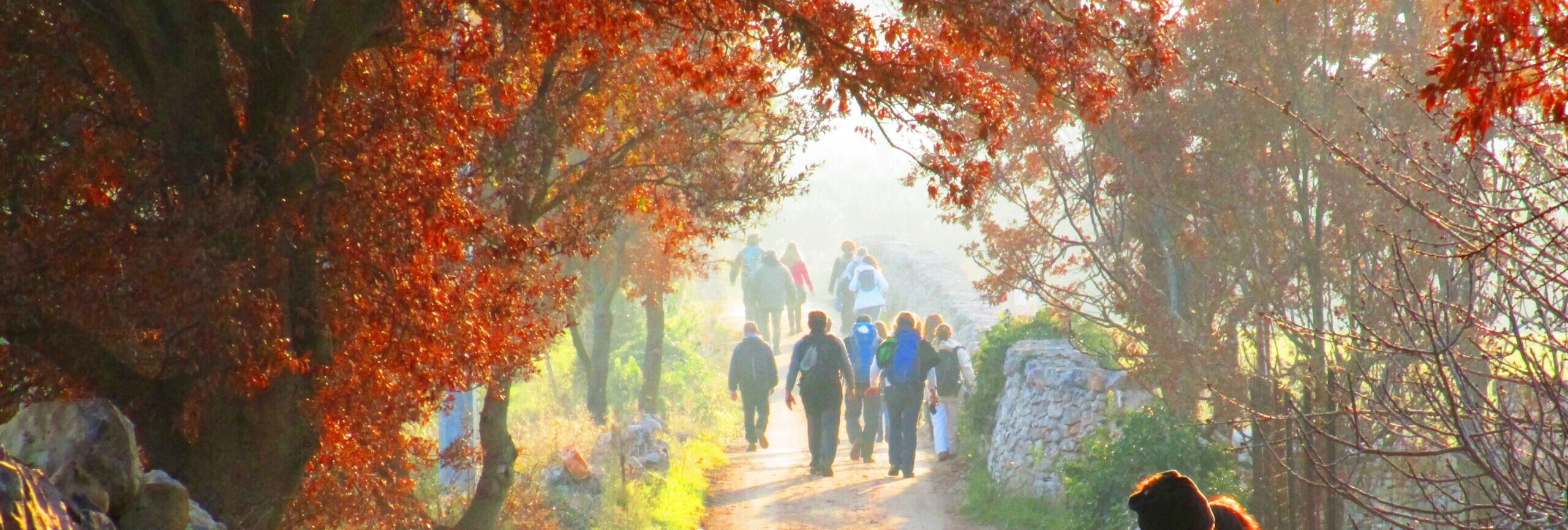 Via Ellenica &#8211; Cammino Materano