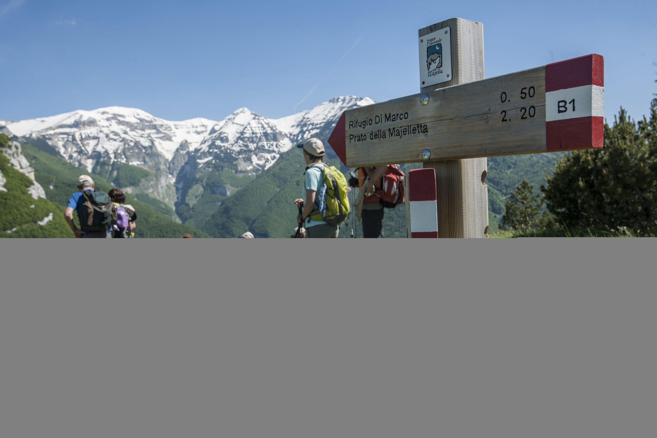 Cammino Grande di Celestino