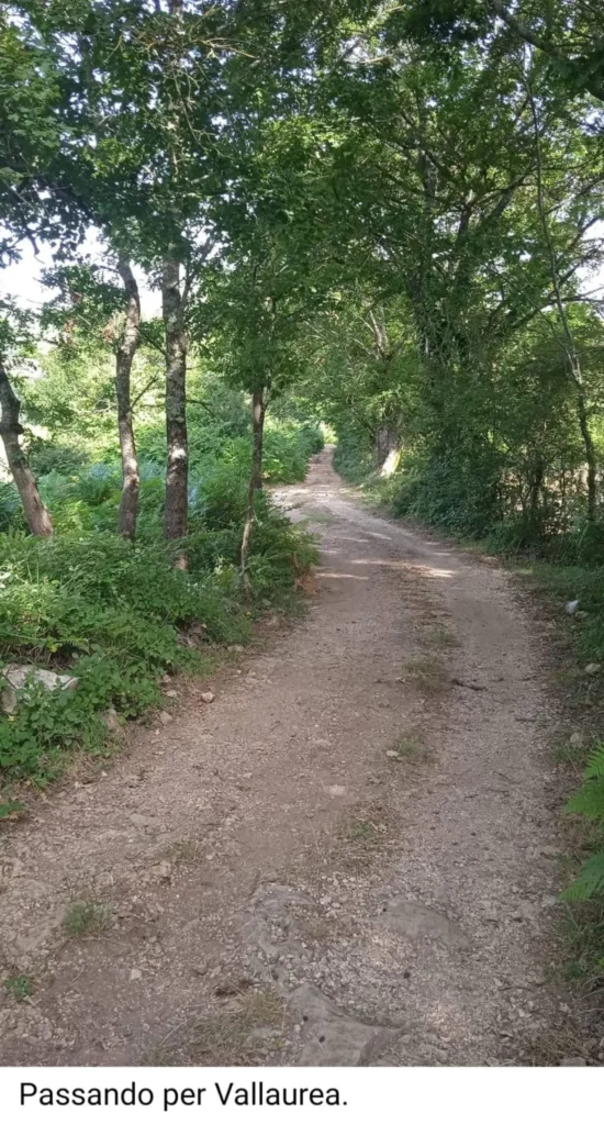 cammino di san filippo neri